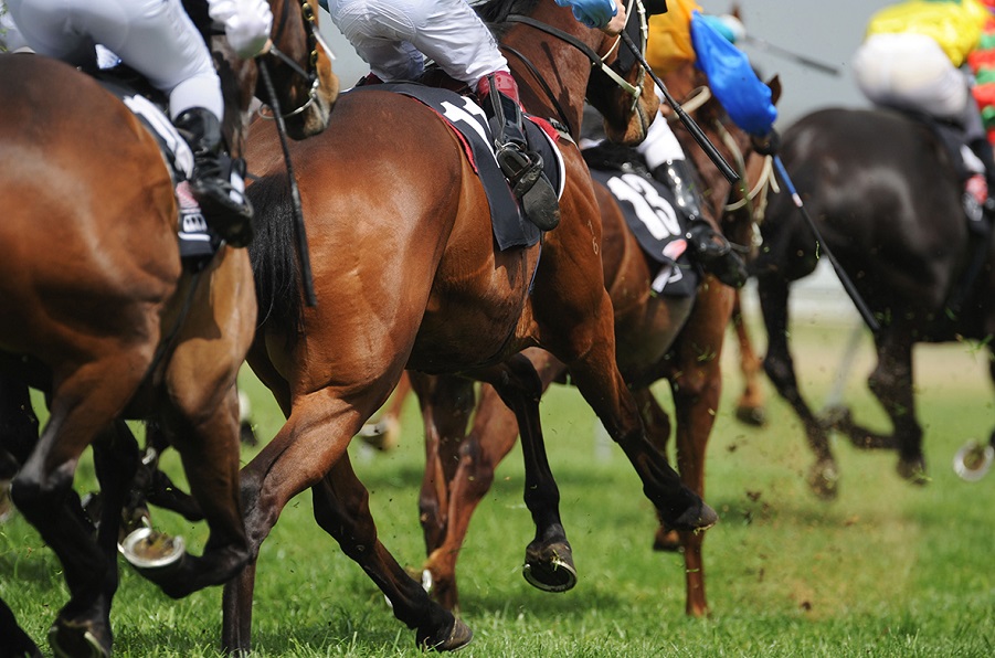The Melbourne Cup: The Facts Behind The Clean Up