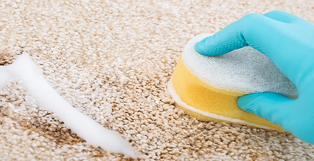 DIY Carpet Cleaning Tips Made Easy – Cheap and Easy Stain Removal